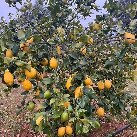 Bed & Breakfast Don Peppe Monopoli